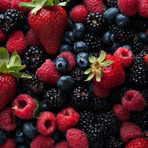 Les Fruités